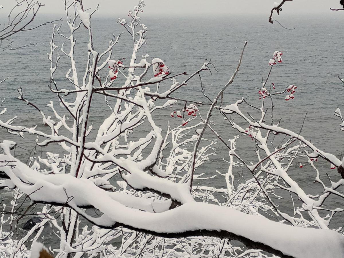 Cliff Dweller On Lake Superior Tofte Exterior foto